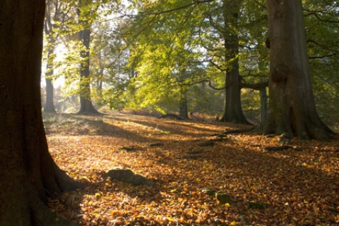 Ontdek Gelderland - Prachtige natuurgebieden!