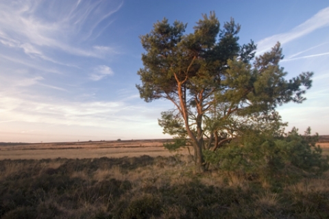 Ontdek de Veluwe - Elk jaargetijde vermaak!