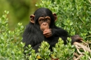 WILDLANDS Adventure Zoo Emmen