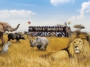 Safaripark Beekse Bergen
